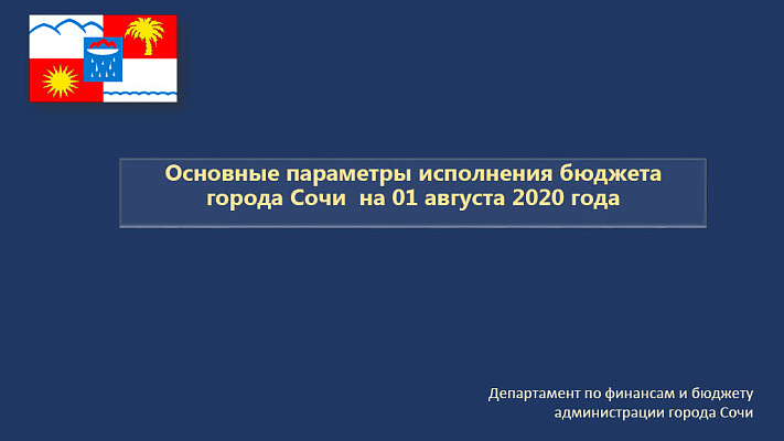 Основные параметры исполнения бюджета города Сочи на 01.08.2020 года