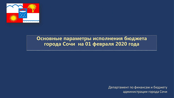 Основные параметры исполнения бюджета города Сочи на 01.02.2020 года