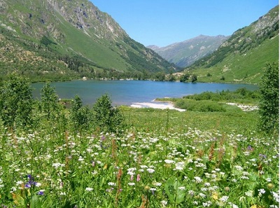 Более 60 директоров национальных парков и заповедников соберутся в Сочи