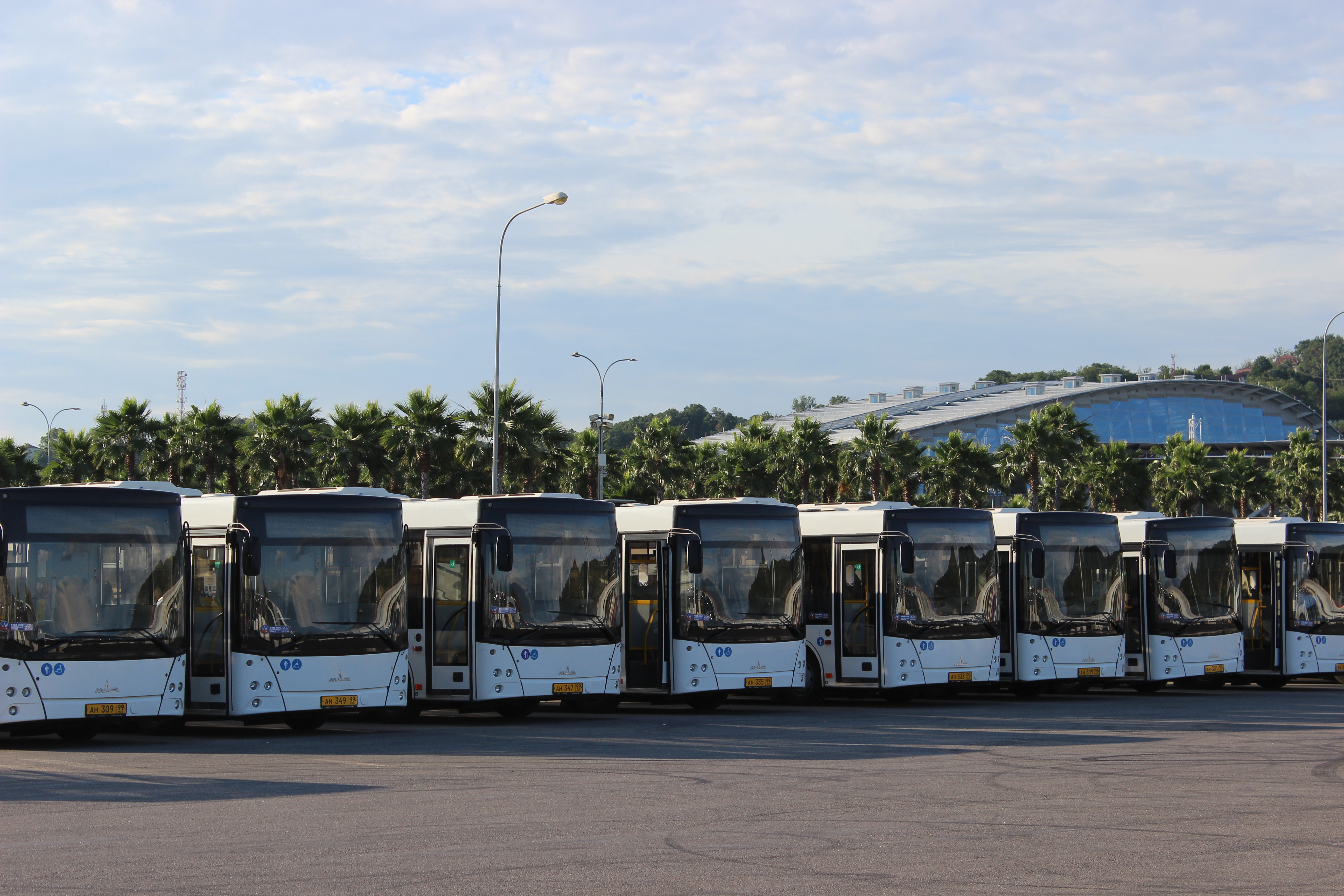 Транспорт сочи сайт. Автобусы Сочи. Общественный транспорт Сочи. Городской транспорт Сочи. Автобусы в Олимпийском парке.