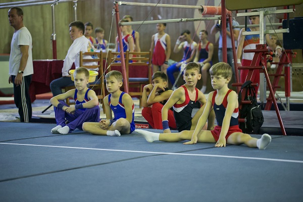 Открытые краевые соревнования по спортивной гимнастике