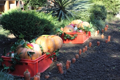 Осенние композиции из листьев и овощей украсят курорт ко Дню города 