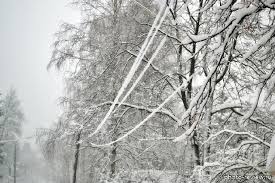 Продлено предупреждение о налипании мокрого снега в горах Сочи