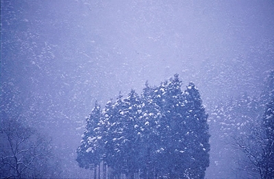 В горах Сочи ожидается сильный снег 