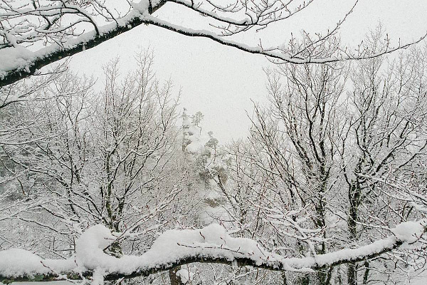 В горах Сочи в ближайшие сутки прогнозируются обильные снегопады