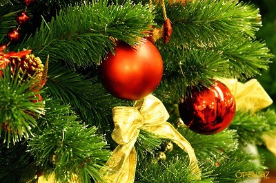 Сочи готовится к Новому году.  Главную елку города «зажгут» 25 декабря  