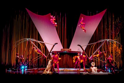 В Сочи Cirque du Soleil покажет шоу "Varekai"