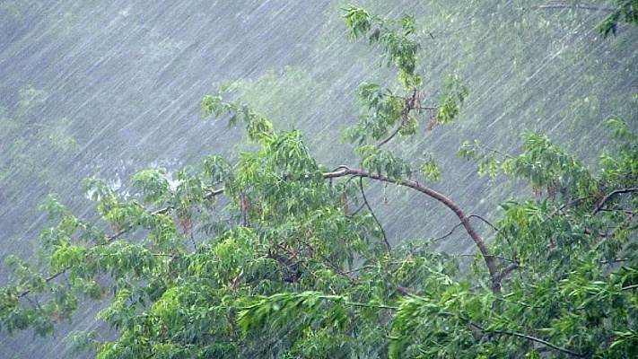 В ближайшие сутки в предгорных районах Сочи ожидается сильный дождь