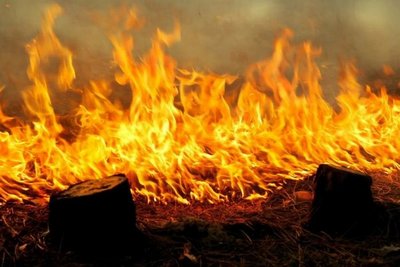 В Краснодарском крае объявлен пожароопасный сезон