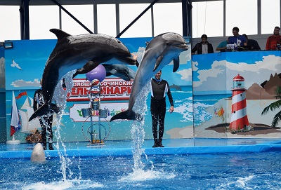В «Сочи Парке» распахнул свои двери новый дельфинарий 