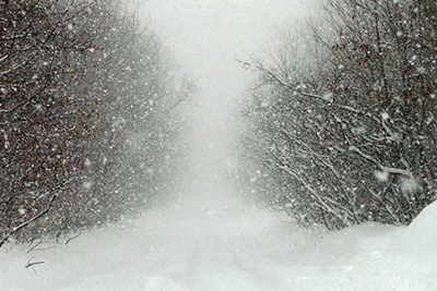 В горах Сочи пройдет сильный снег