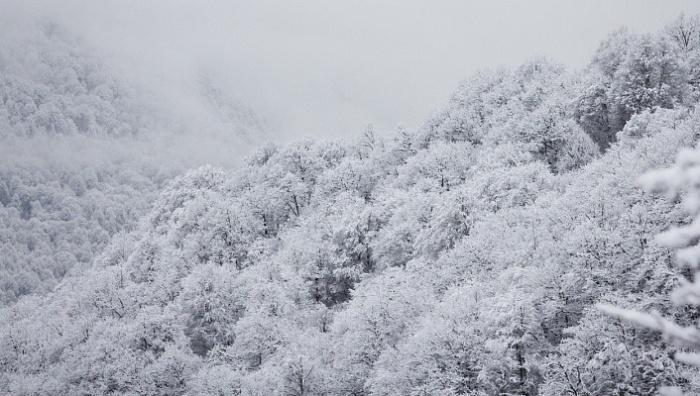 В горах Сочи прогнозируется сильный снег