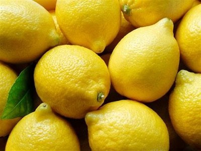 В Сочи начался сбор лимонов