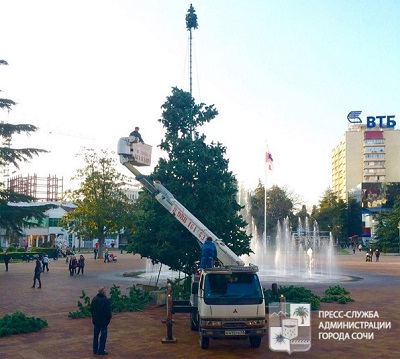В центре Сочи начали установку новогодней елки 