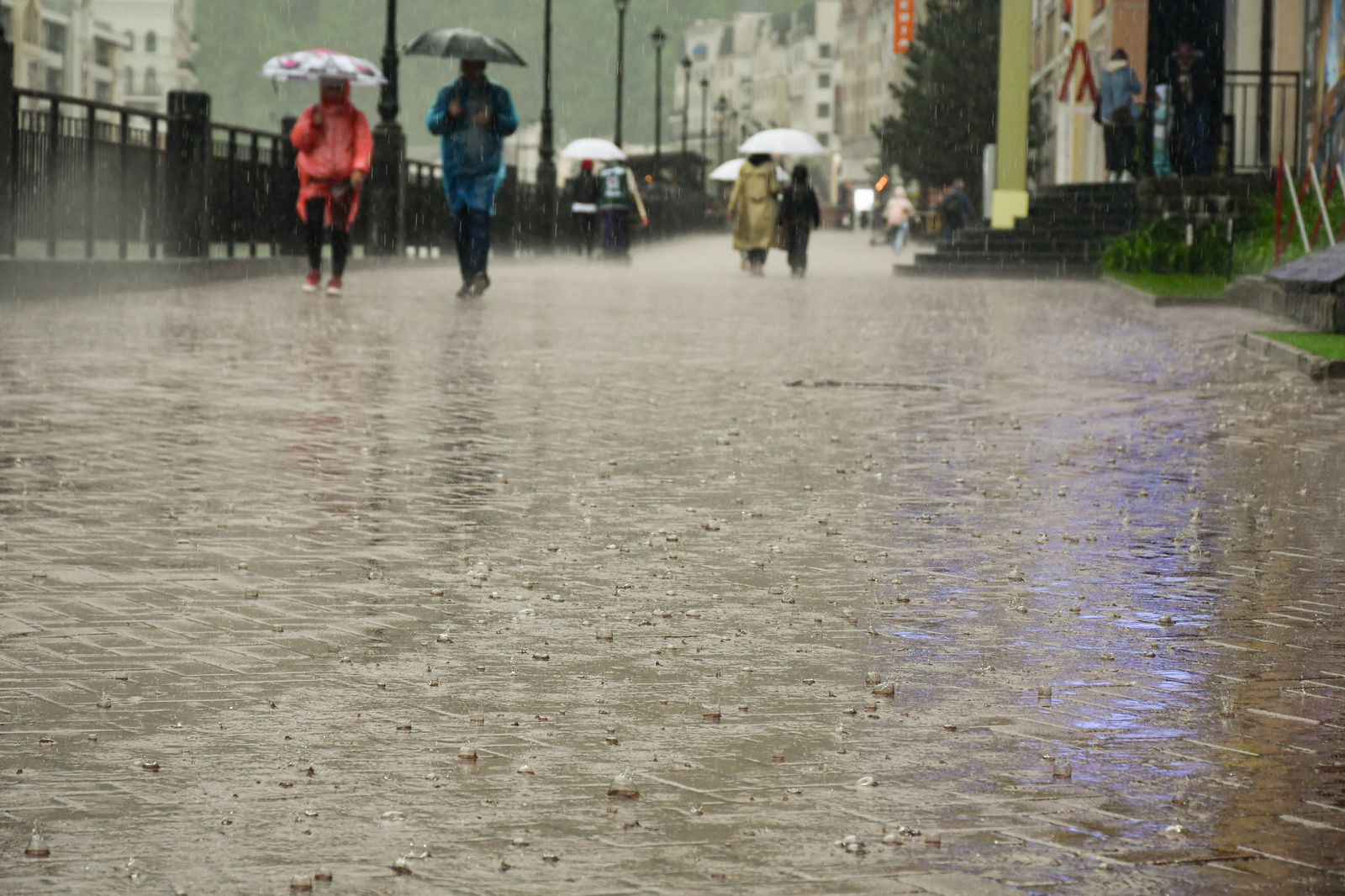 Администрация города Сочи - В Сочи прогнозируют дожди и грозы