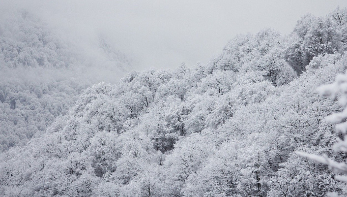 В предгорных районах Сочи в ближайшие часы ожидается сильный снег