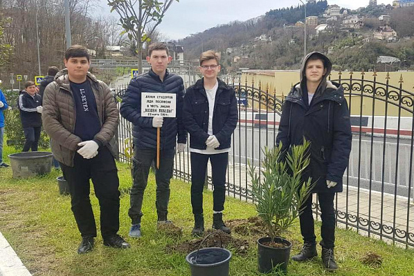 В Сочи в рамках экологической акции студенты высадили аллею «Воздух Победы»