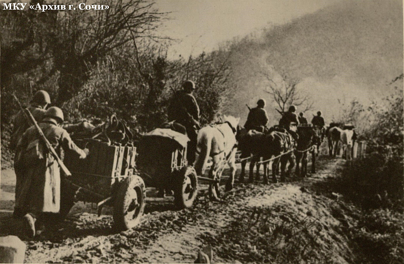 Артиллерийские части проходят к фронту по горной дороге. Январь, 1943 г. МКУ «Архив г. Сочи». ФДК. Оп. 1. Ед. Хр. 2194.