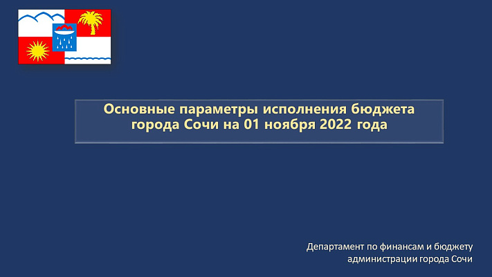 Основные параметры исполнения бюджета города Сочи на 01.11.2022 года