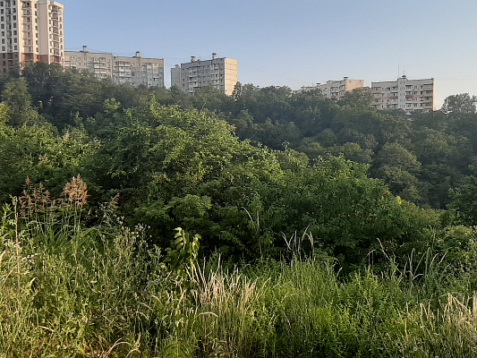 Жители микрорайона Макаренко обсудили перспективное развитие парка