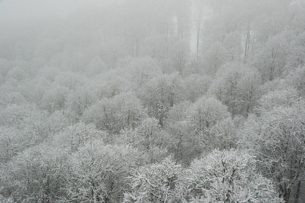 В предгорных и горных районах Сочи ожидается очень сильный снег