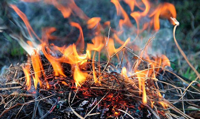 В Сочи сохраняется чрезвычайный уровень пожароопасности