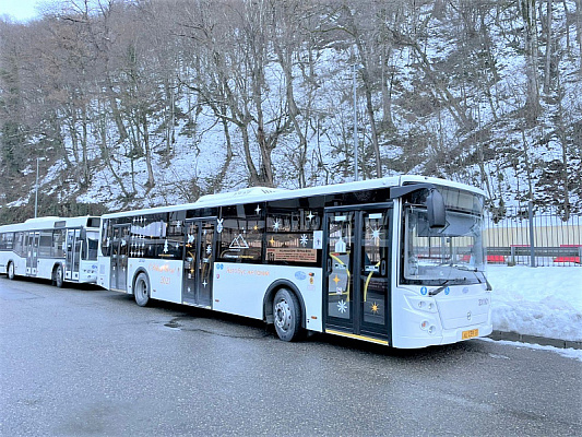 В период новогодних праздников в Сочи увеличено количество автобусов, курсирующих в направлении горных курортов