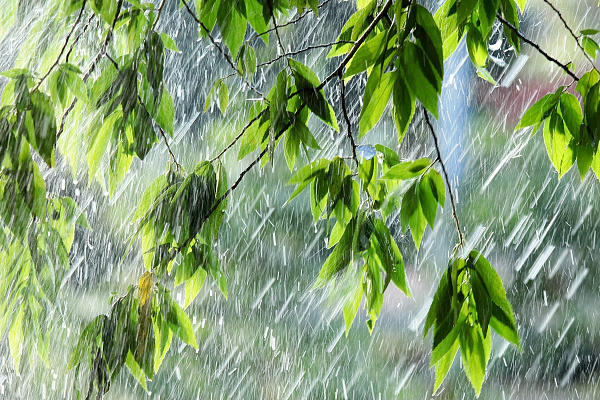 В Сочи прогнозируются сильные дожди с грозами