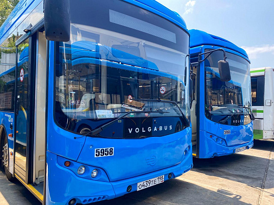  40 новых автобусов на газомоторном топливе начали обслуживать маршруты общественного транспорта от Сочи до Олимпийского парка