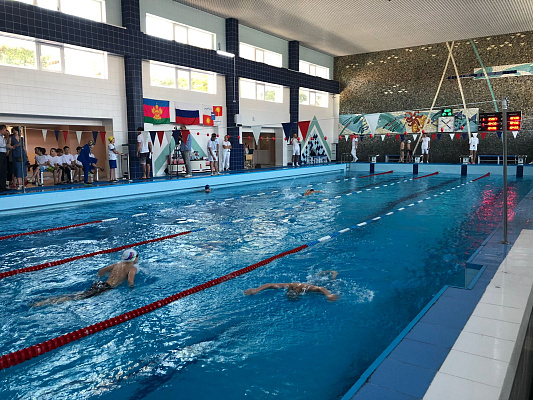 В Сочи начался краевой турнир по плаванию на призы Владимира Немшилова