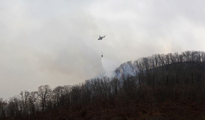 Лесной пожар в Лазаревском районе почти ликвидирован 