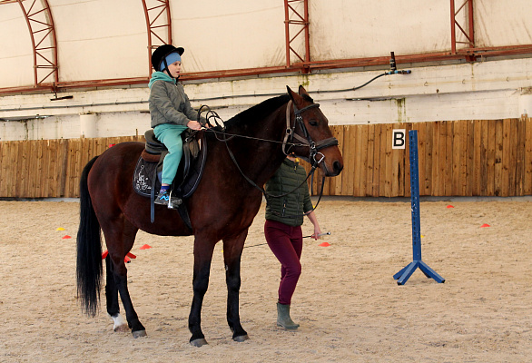 В Сочи прошел семейный фестиваль по конному спорту для детей с ограниченными возможностями здоровья