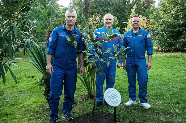 В Сочи космонавты высадили магнолию в парке «Ривьера»