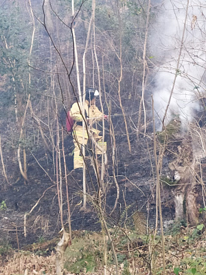 Продолжается тушение возгорания лесной подстилки в 28 квадрате Туапсинского лесничества