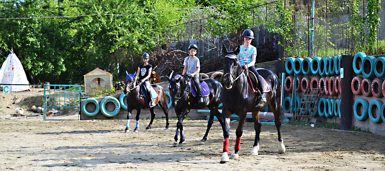 В Сочи пройдут ежегодные соревнования по паралимпийскому и специальному конному спорту