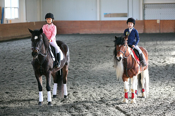 В Сочи прошли соревнования по конному спорту
