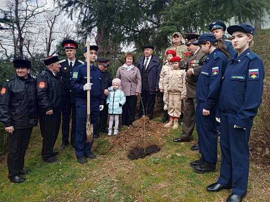 В День защитника Отечества в Сочи высадили аллею участников специальной военной операции