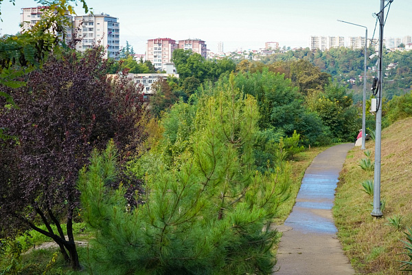 В парке 80-летия Краснодарского края в Сочи установлена система наружного видеонаблюдения