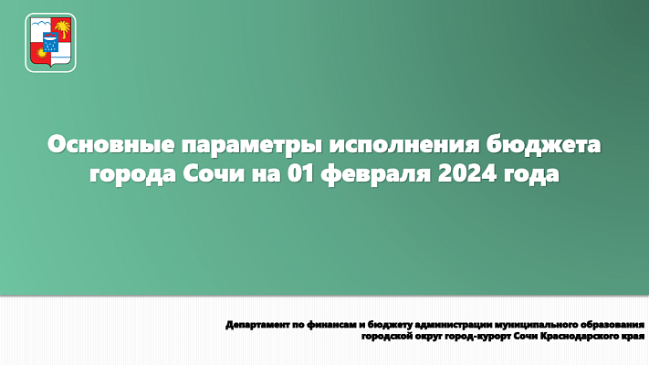 Основные параметры исполнения бюджета города Сочи на 01.02.2024 года